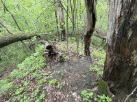 IMG_4968.JPG