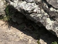IMG_0167.jpeg