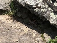 IMG_0165.jpeg