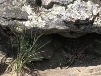 IMG_0159.jpeg