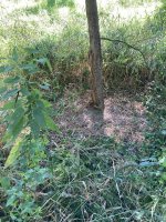 IMG_6884.jpeg