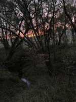 IMG_7011.jpeg