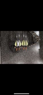 bow 4.png