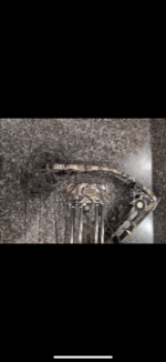 bow b5.png