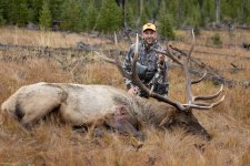 erdody-wyoming-elk-2023-3272.jpg