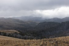 erdody-wyoming-elk-2023-3388.jpg