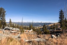 erdody-wyoming-elk-2023-3441.jpg