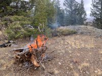 erdody-wyoming-elk-2023-8240.jpg