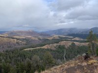 erdody-wyoming-elk-2023-8283.jpg