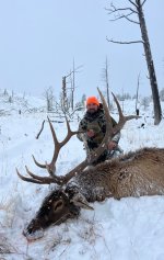 erdody-wyoming-elk-2023-8823.jpg