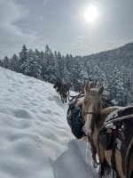 erdody-wyoming-elk-2023-8825.jpg