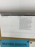 IMG_9707.jpeg