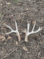 IMG_1197.jpeg