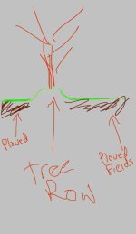 IMG_1242.jpeg