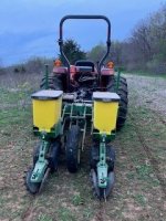 CORN 1.jpg