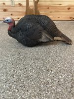 IMG_7927.jpeg