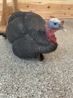 IMG_7928.jpeg