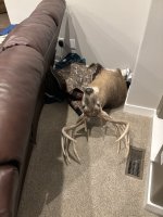 IMG_8546.jpeg