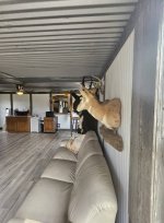 cabin1.jpg cabin1.jpg
