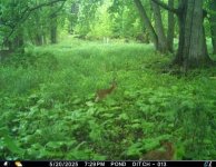 IMG_20250525_203604.jpg
