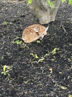 IMG_4002.jpeg