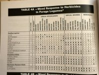 IMG_1956.jpeg