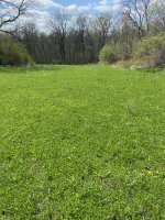 IMG_6958.jpeg