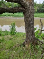 20250614_083605.jpg