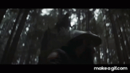 IMG_8376.gif