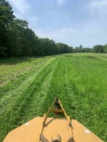 Rye - Mow.jpg