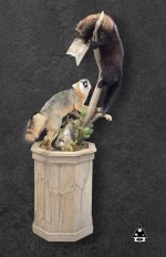 Cool fisher and fox mount.jpg