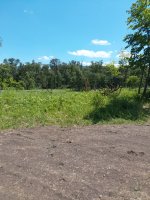 20250623_145330.jpg