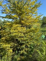 IMG_7053.jpeg
