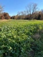 IMG_7607.jpeg