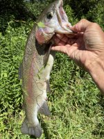 IMG_8161.jpeg