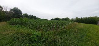 20250721_192228.jpg