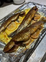 IMG_8205.jpeg