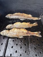 IMG_8192.jpeg