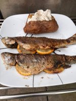 IMG_8209.jpeg