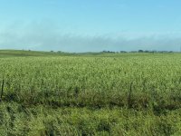 IMG_8632.jpeg