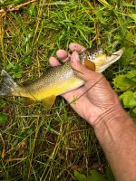 IMG_8259.jpeg