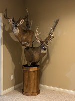 IMG_4493.jpeg