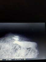 20250818_073813.jpg