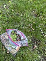 IMG_8778.jpeg