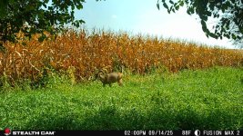 IMG_8499.jpeg