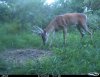 Cdy00317.jpg