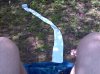 ForumRunner_20160507_135603.jpg