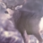 antlergirl17
