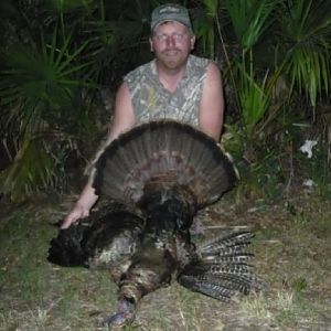Florida turkey hunt