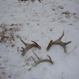 Shed Hunting 2011-#2